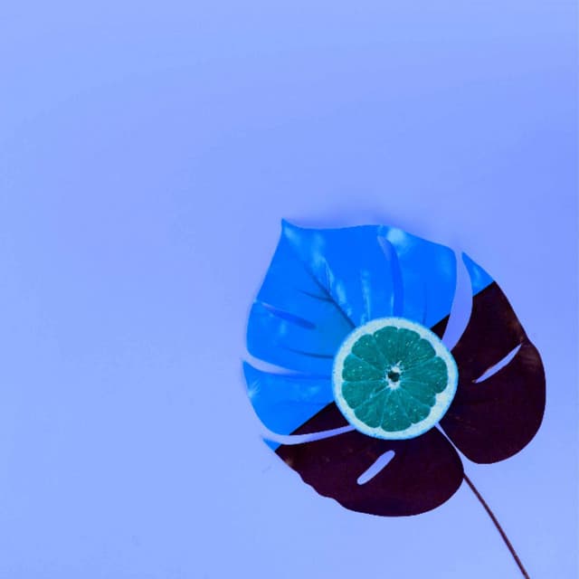 Piano Jazz Duo - Ruhige Musik