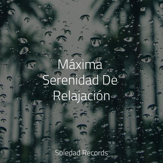 Máxima Serenidad De Relajación - Dormir