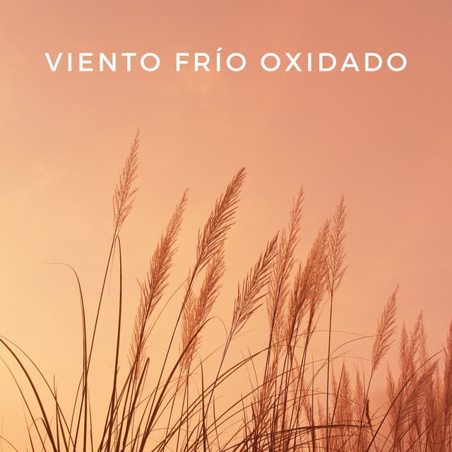 Viento Frío Oxidado - Cuatro Vientos
