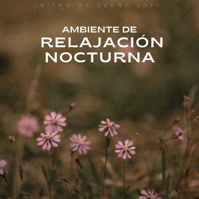 Ambiente De Relajación Nocturna: Ritmo De Sueño Lofi - Dormir lofi