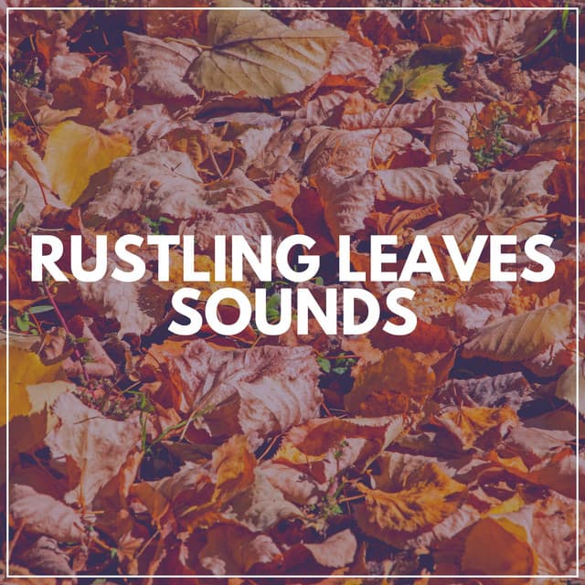 Rustling Leaves Sounds - Pink Noise