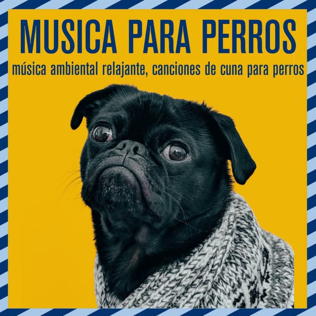 Música para perros: música ambiental relajante, canciones de cuna para perros - Relaxmydog