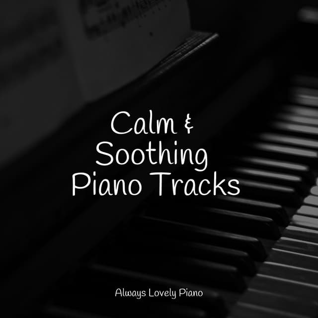 50 Calming Piano Melodies for Work and Study - Calming Baby Sleep Music Club