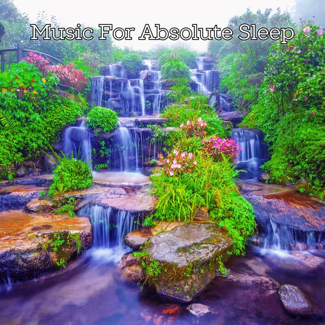 Absolute Sleep Journey - Sleepy Night Music