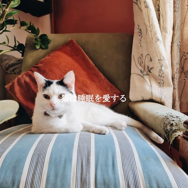 Soothing Jazz Bar Cafe