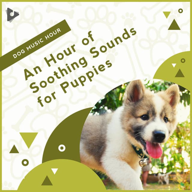 An Hour of Soothing Sounds for Puppies - Dog Music Hour