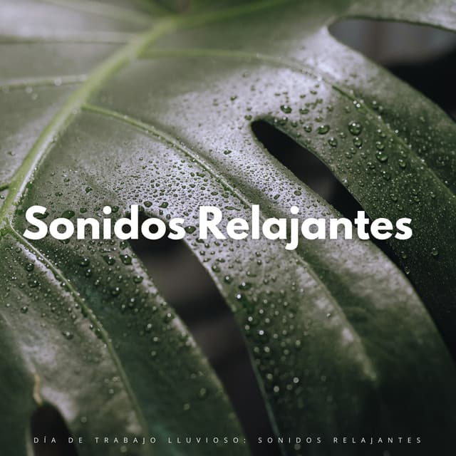 Día De Trabajo Lluvioso: Sonidos Relajantes - La biblioteca de la lluvia