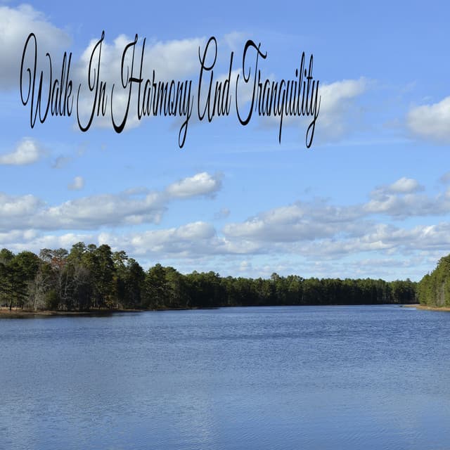 Walk In Harmony And Tranquility - Soothing Music Academy