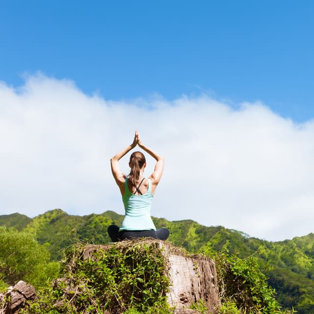 Tranquil Meditation: Rain Meditation Music for Inner Peace - In.The.Rain