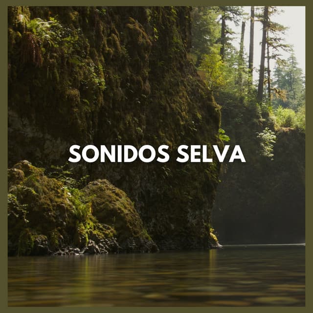 Sonidos Selva - Sonidos De La Selva