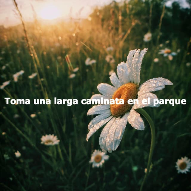 Indie Study Music Classics