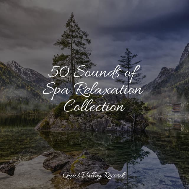 50 Sounds of Spa Relaxation Collection - Yoga Namaste