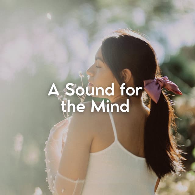 A Sound for the Mind - Transcendental Meditation