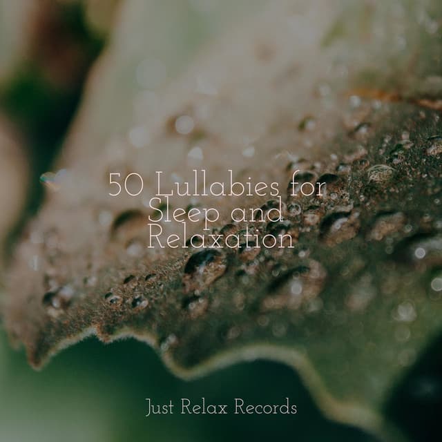 50 Lullabies for Sleep and Relaxation - Yoga Namaste