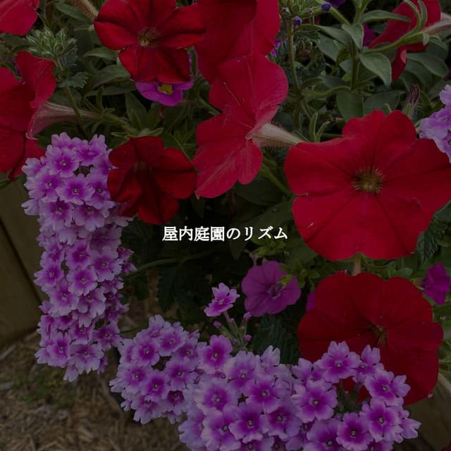 Relaxed Bossa Ambiance