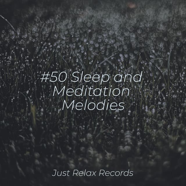 #50 Sleep and Meditation Melodies - Binaural Beats Brainwave Entrainment