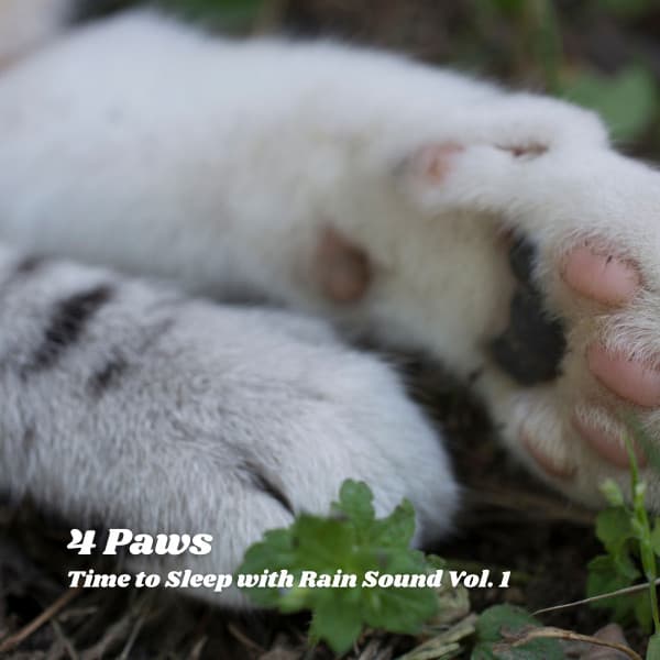 4 Paws: Time to Sleep with Rain Sound Vol. 1 - Music For Dogs With Anxiety