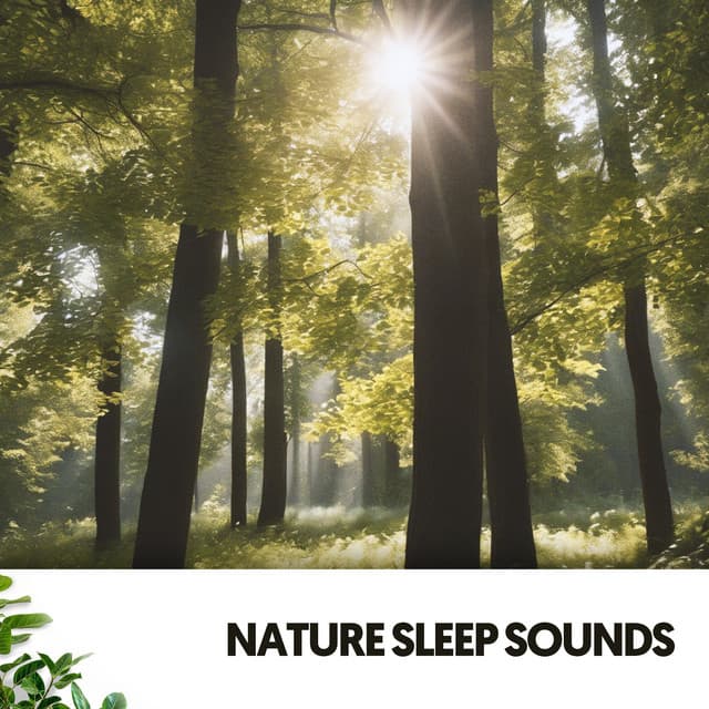 Nature Sleep Sounds: Dreaming in Harmony - Sleeping Music
