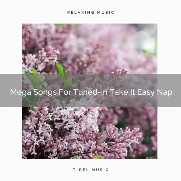 Mega Songs For Tuned-in Take It Easy Nap - Pure Deep Sleep White Noise