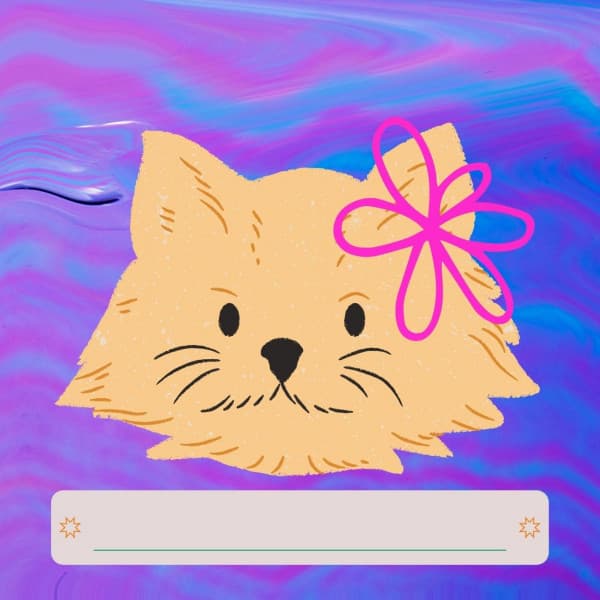 Echoes of Lazy Chairs - Latin Jazz Vibes