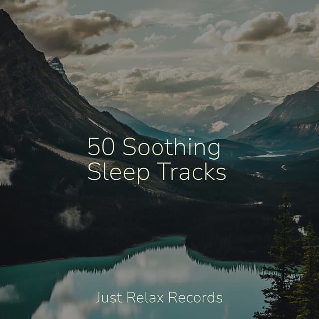 50 Soothing Sleep Tracks - Study Hard