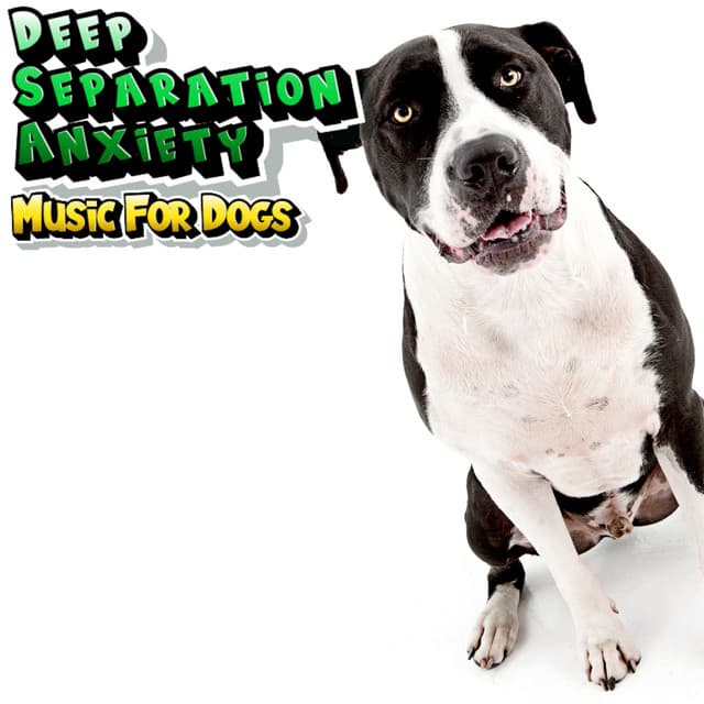 Calming Dog Relaxation Music For Stress Reduction - Deep Separation Anxiety Music For Dogs