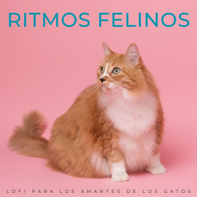 Ritmos Felinos: Lofi Para Los Amantes De Los Gatos - El Rey Lofi