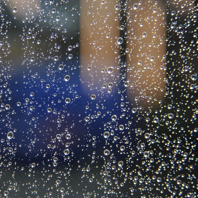 Pleasant Rainfall Sleep Sound - Calming Rainforest Sounds