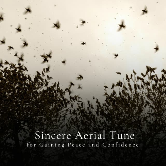 * Sincere Aerial Tune for Gaining Peace and Confidence * - Calm Singing Birds Zone