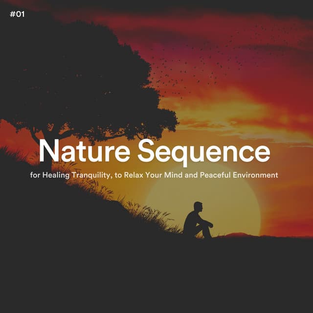 #01 Nature Sequence for Healing Tranquility, to Relax Your Mind and Peaceful Environment - The Nature Soundscapes