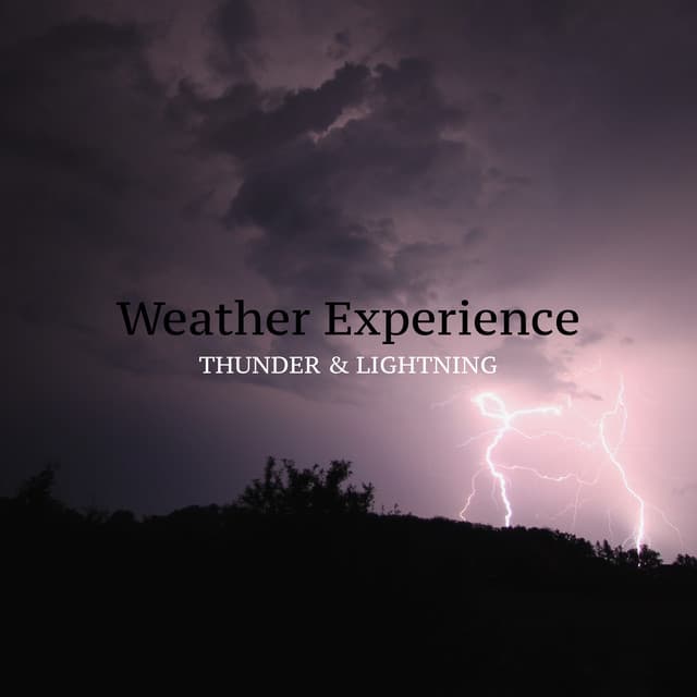 Weather Experience