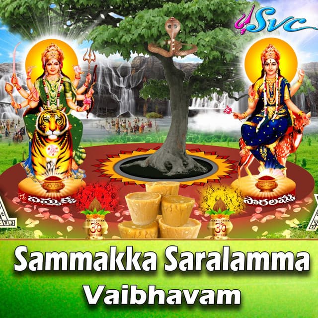 Sammakka Saralamma Vaibhavam - D.Sarangapani