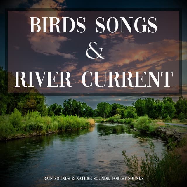 Birds Songs and River Current - Rain Sounds & Nature Sounds
