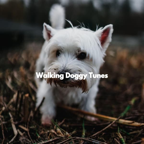Walking Doggy Tunes - Thursday Morning Jazz Playlist