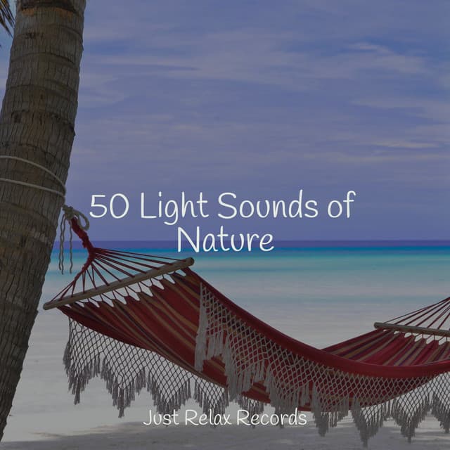 50 Light Sounds of Nature - Brain Study Music Guys