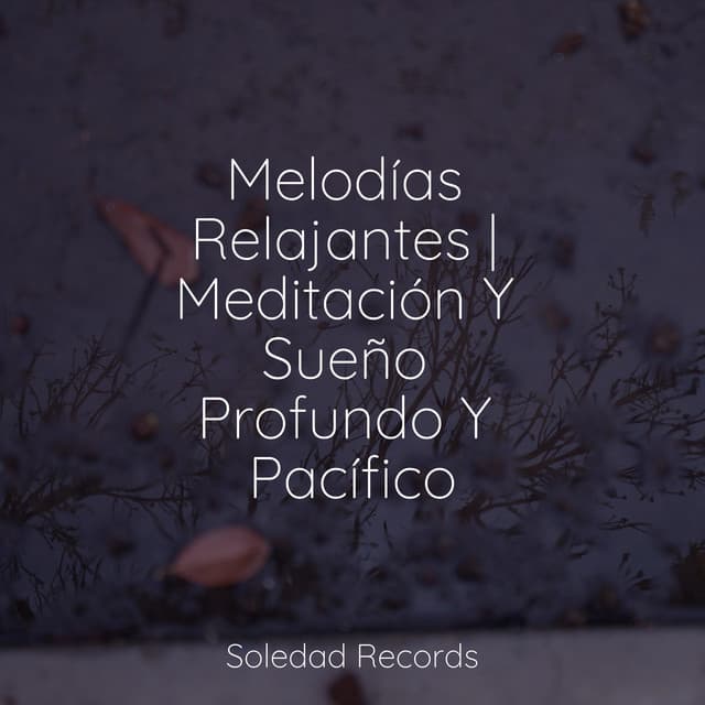Melodías Relajantes | Meditación Y Sueño Profundo Y Pacífico - Musica Relajante Specialistas & Musica Relajante