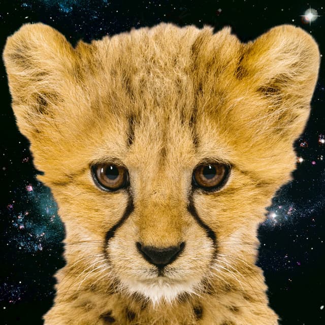 Simon and The Astronauts Featuring Rachel Haden - Simon and the Astronauts