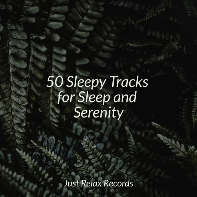 50 Sleepy Tracks for Sleep and Serenity - Yoga Namaste