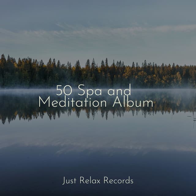 50 Spa and Meditation Album - Guided Meditation