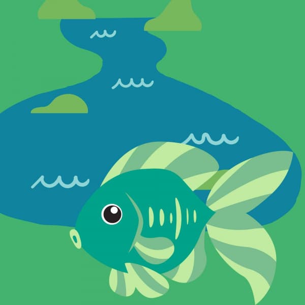 Inspiring Music for Every Space - Acoustic and Electric Piano Duo - Good Morning Jazz