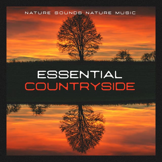 Essential Countryside - Nature Sounds Nature Music