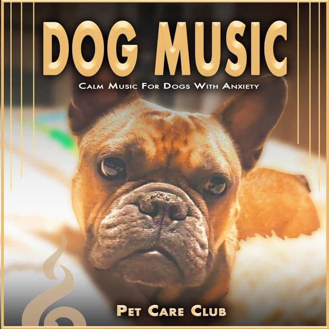 Dog Music: Calm Music For Dogs With Anxiety - Pet Care Club