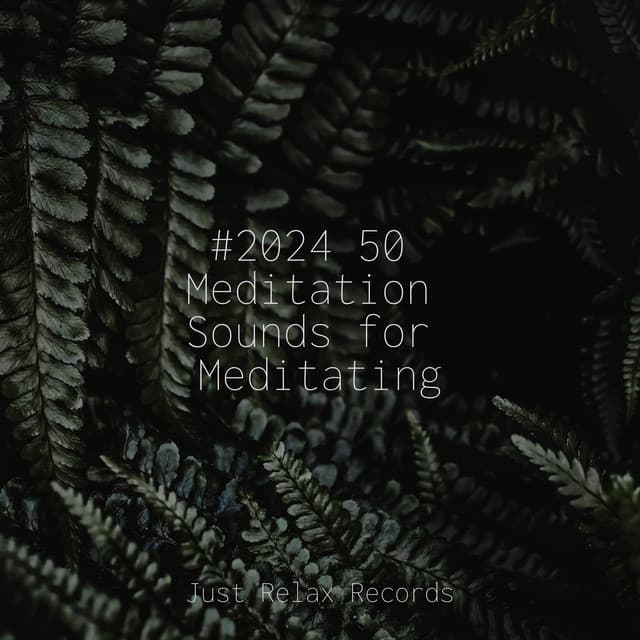 #2024 50 Meditation Sounds for Meditating - Shakuhachi Sakano