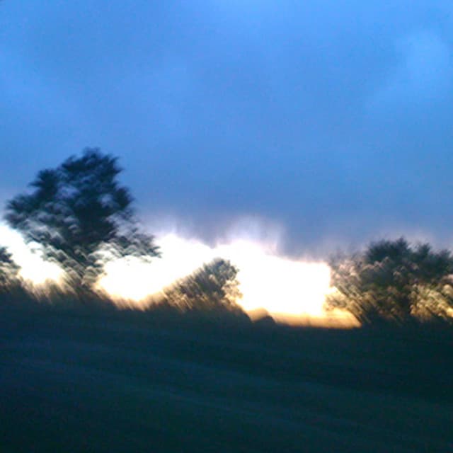 Horizon - Floraleda Sacchi