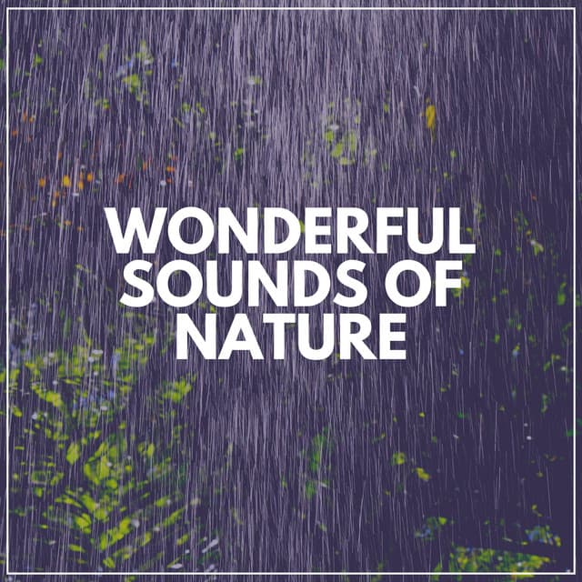 Wonderful Sounds of Nature - Loopable Rain Sounds