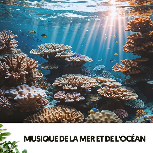 Musique de la Mer et de l'Océan : Symphonie des Vagues - Ocean Sounds