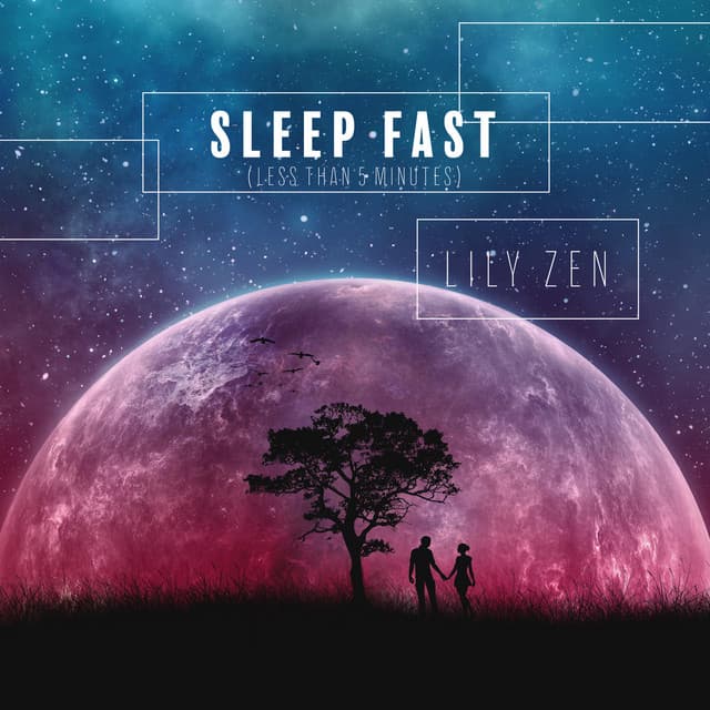 Sleep Fast : Deep Sleep Music and Relaxation - Lily Zen
