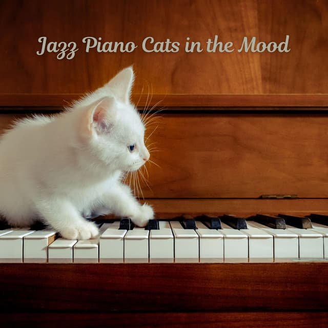 Jazz Piano Cats in the Mood - Soft Jazz Relaxation