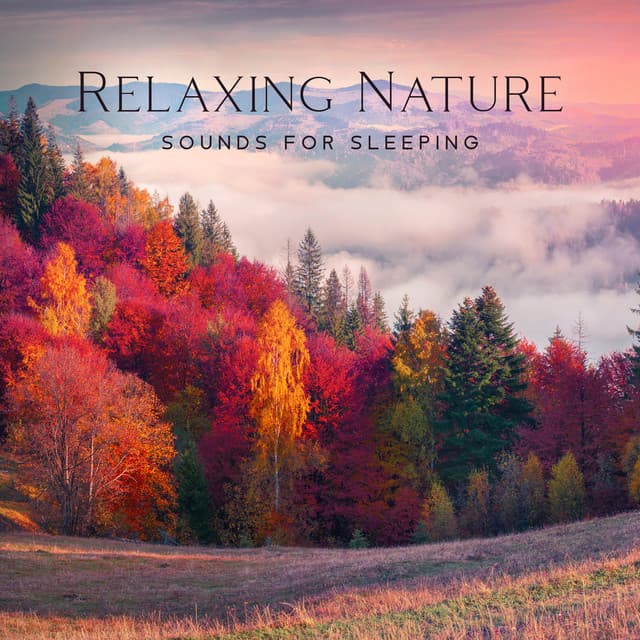 Total Nature Relaxation