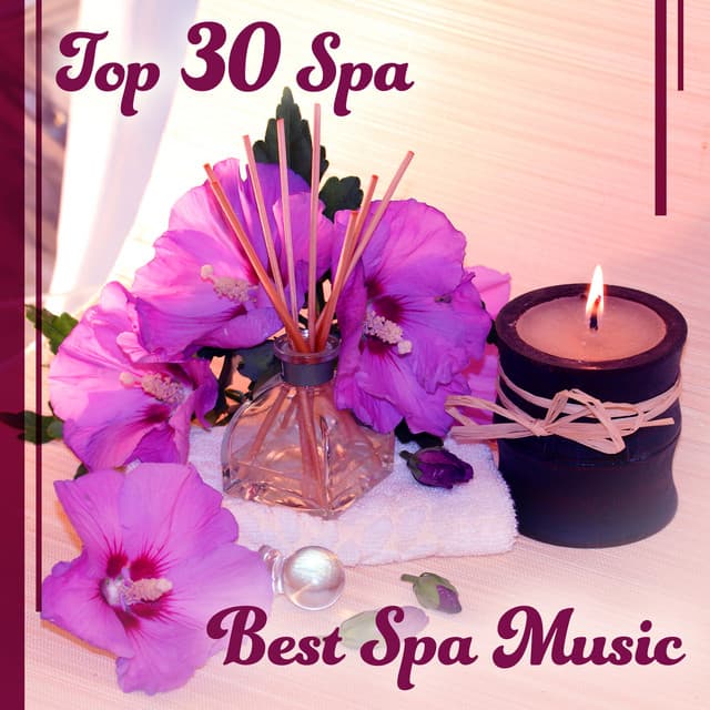 Top 30 Spa: Best Spa Music - Relaxing Music for Massage, Rest in Saunna, Healing Reiki, Wellness Therapy Sounds, New Age for Deep Relaxation - Wellness Sounds Relaxation Paradise
